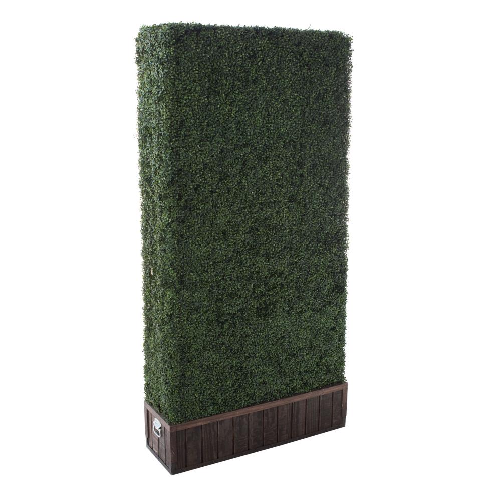 boxwood-hedge-4x8